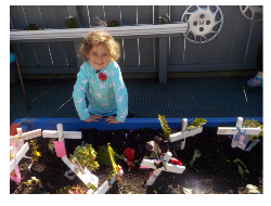 Pre-schooler with crosses in garden